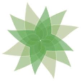 Reiki Energy Healing Services - Green Lotus Yoga & Healing Center